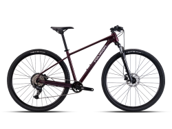 2027 HEIST 2 Hybrid Bike P