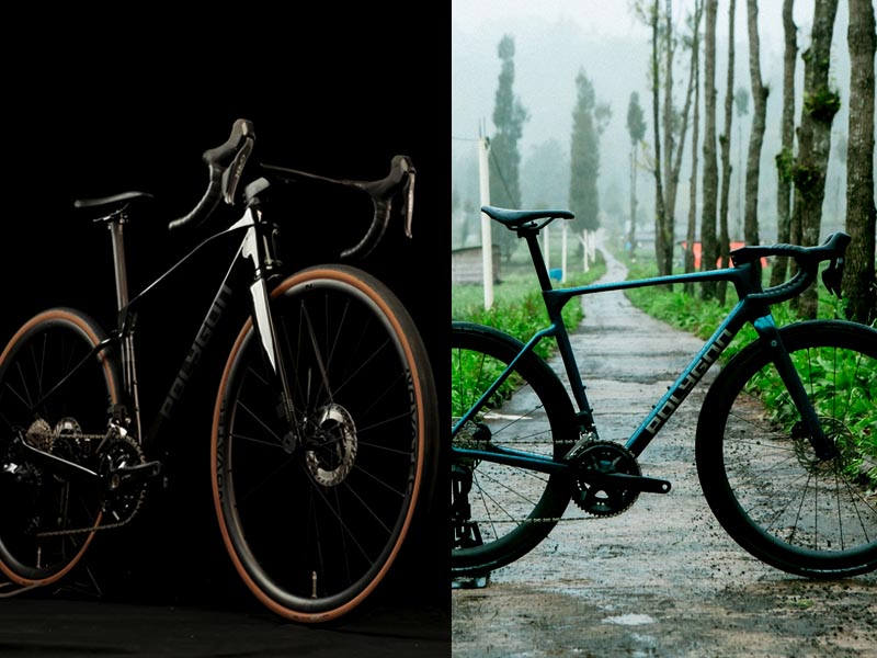 Gravel Bikes Vs Endurance Road Bikes