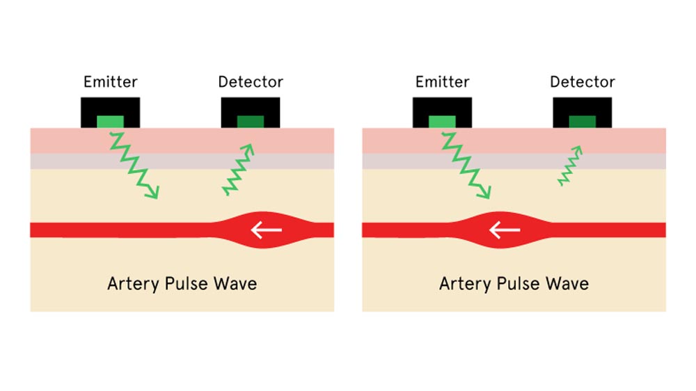 How A Heart Rate Monitor Works