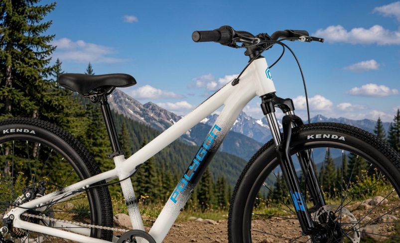 2027 CASCADE 24 Kids Mountain Bike F2
