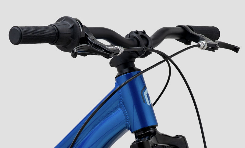 Relic 24 Feature 1