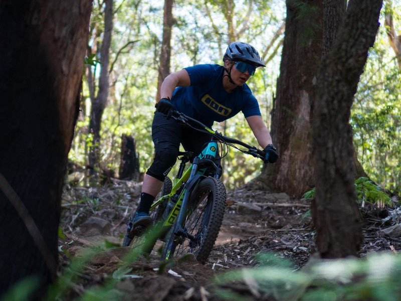 Mountain Biking In The Forest