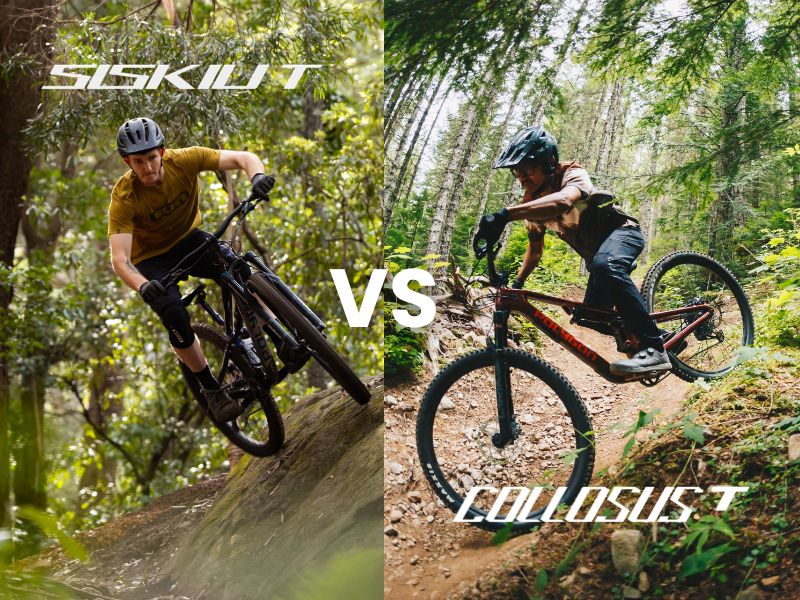 Siskiu T Vs Collosus T Mountain Bike