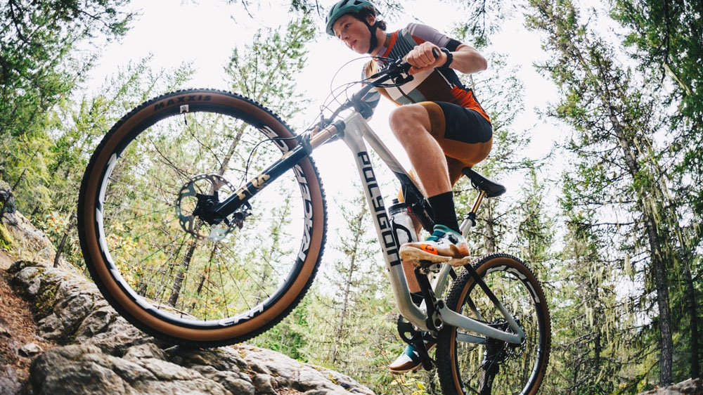 Polygon Syncline Dr Xc Mountain Bike