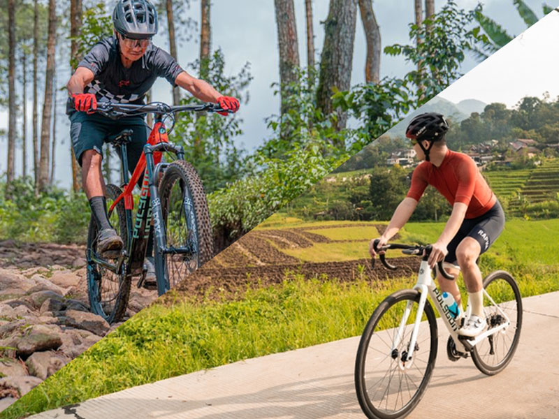 Mtb Vs Road Bike