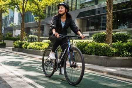 Polygon Path Series City Bike Polygon Path Series City Bike