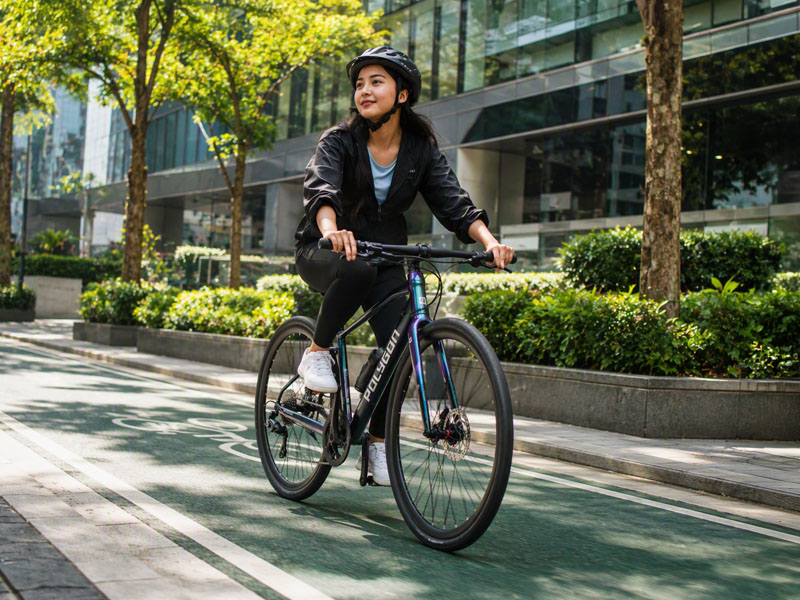 Polygon Path Series City Bike