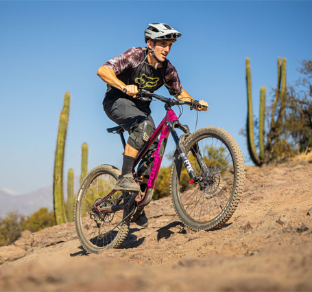 Six Category Banner MTB