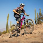 6 category banner-mtb