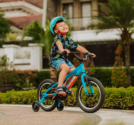 asset support polygon bikes junior
