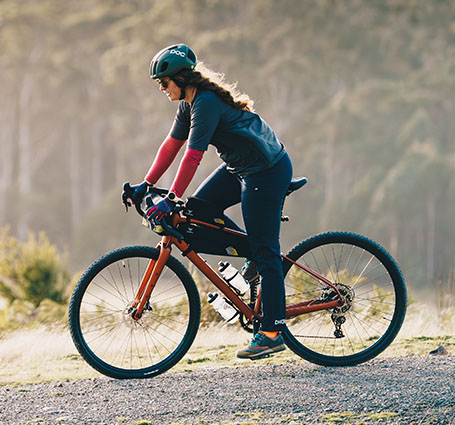 asset support polygon bikes adventure bike