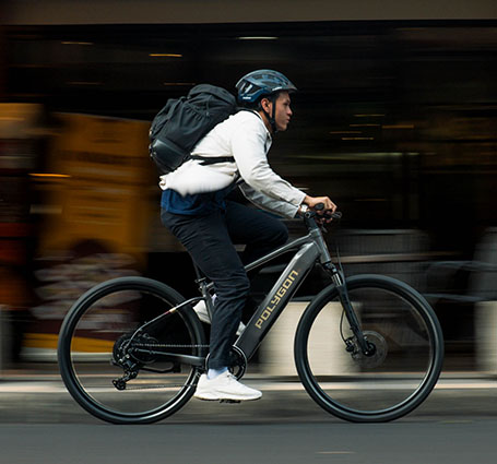asset support polygon bikes e bike