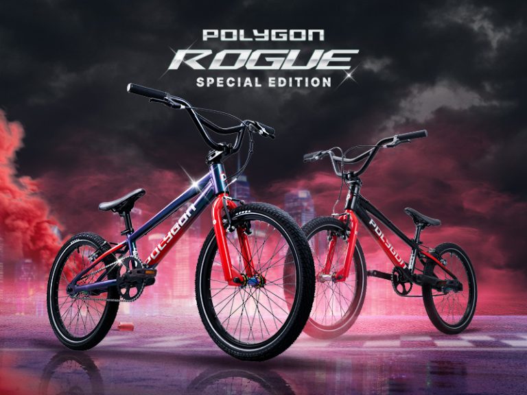 Polygon Sepeda Bmx Rogue Special Edition