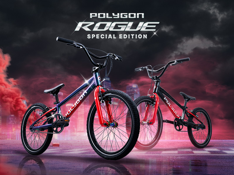 Polygon Sepeda Bmx Rogue Special Edition