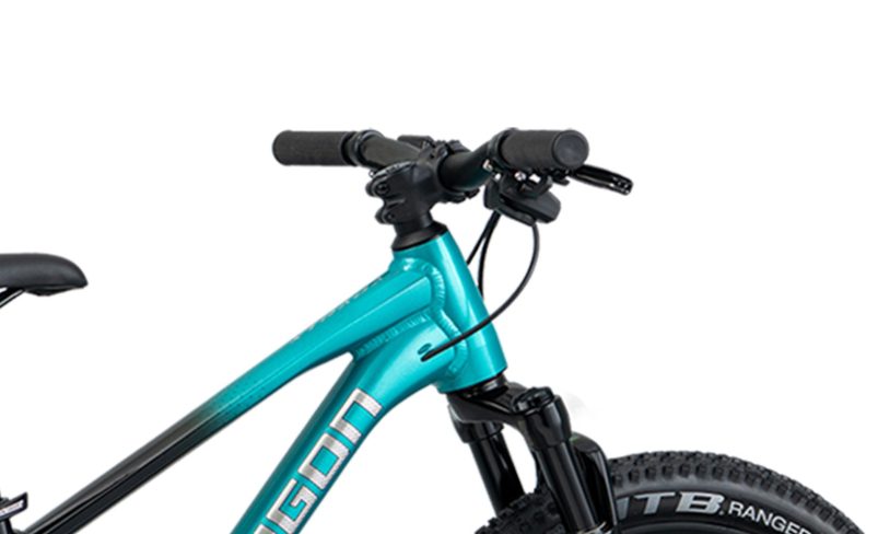 2027 XTRADA 20 Kids Mountain Bike F2